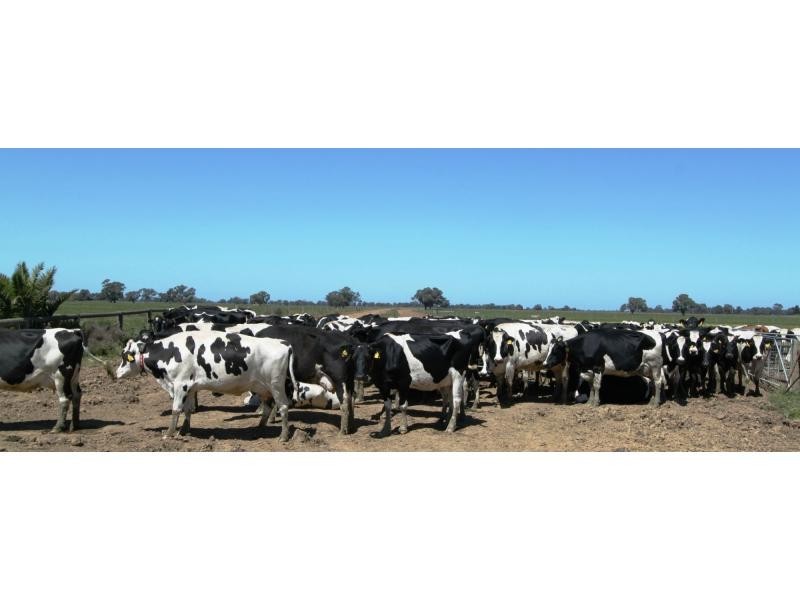Tullakool NSW 2732