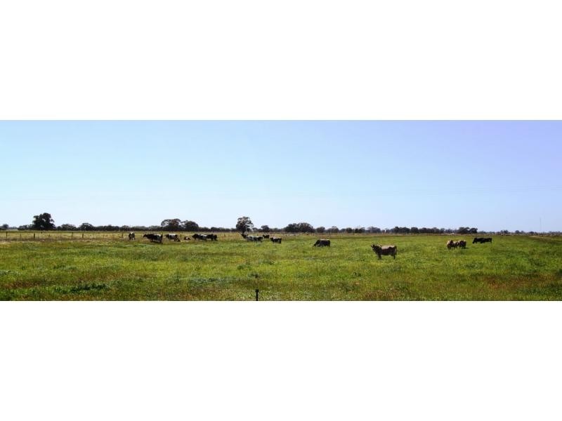 Tullakool NSW 2732