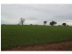 Boree Creek NSW 2652