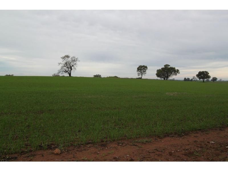 Boree Creek NSW 2652