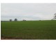 Boree Creek NSW 2652