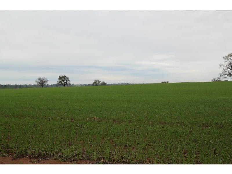 Boree Creek NSW 2652