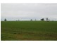 Boree Creek NSW 2652