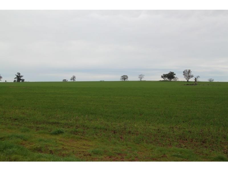 Boree Creek NSW 2652