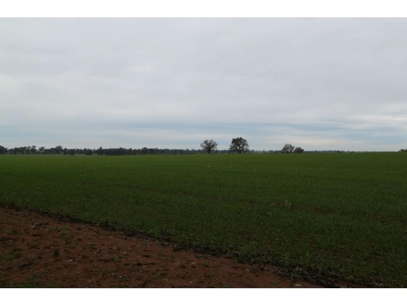 Boree Creek NSW 2652
