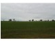 Boree Creek NSW 2652