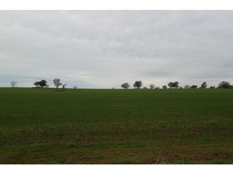 Boree Creek NSW 2652