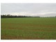 Boree Creek NSW 2652