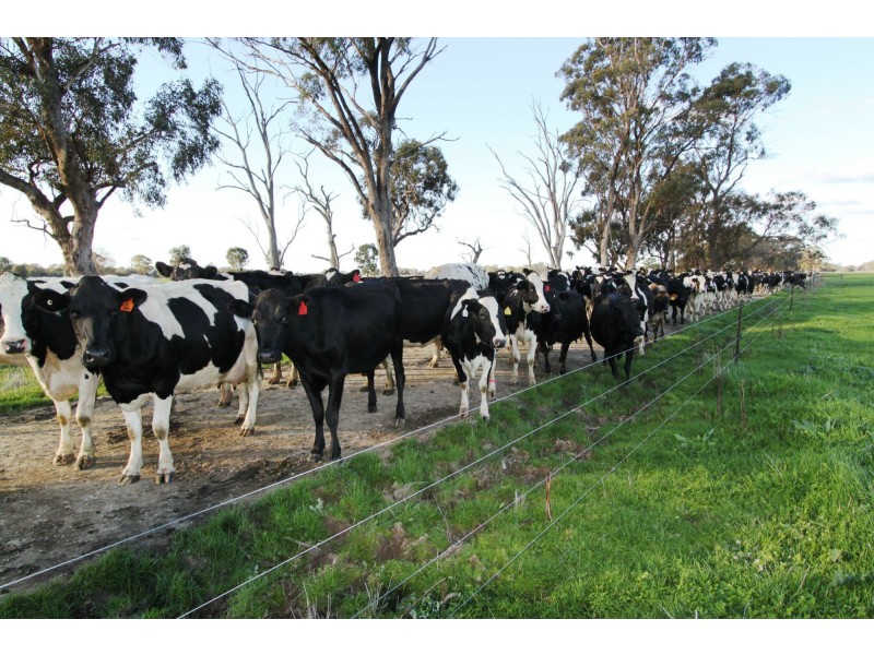 Strathmerton VIC 3641