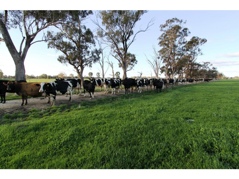 Strathmerton VIC 3641