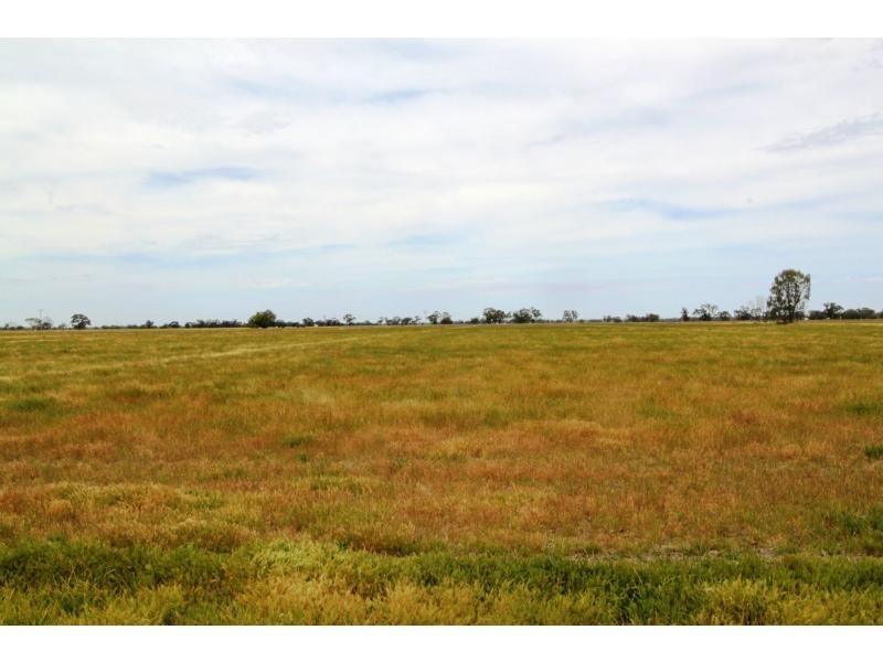 Tullakool NSW 2732