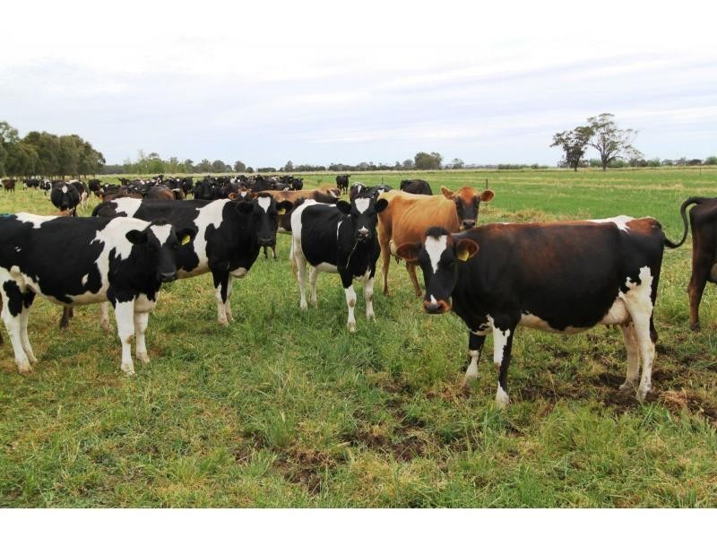 Strathmerton VIC 3641