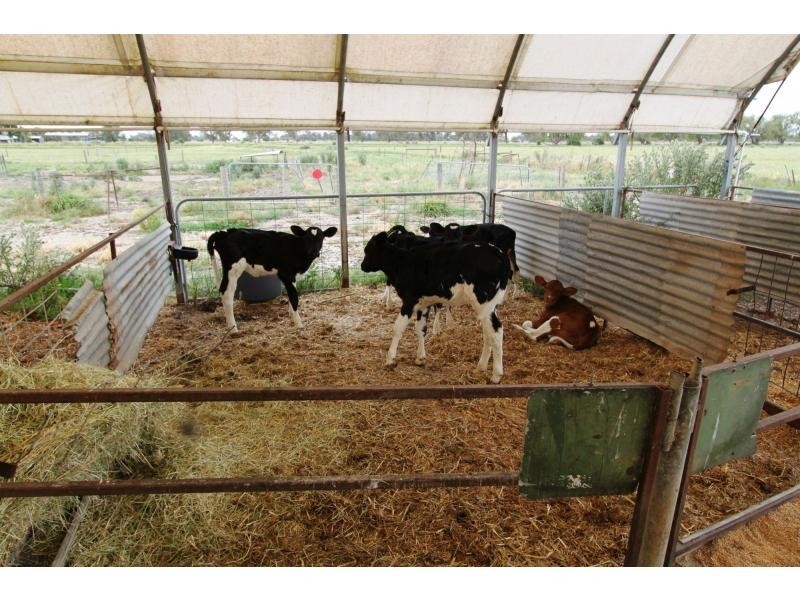 Strathmerton VIC 3641