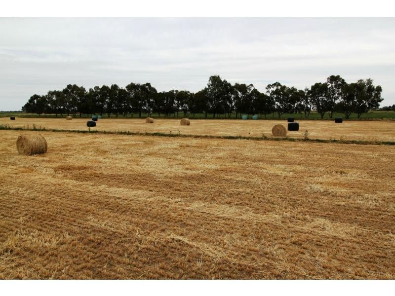 Strathmerton VIC 3641