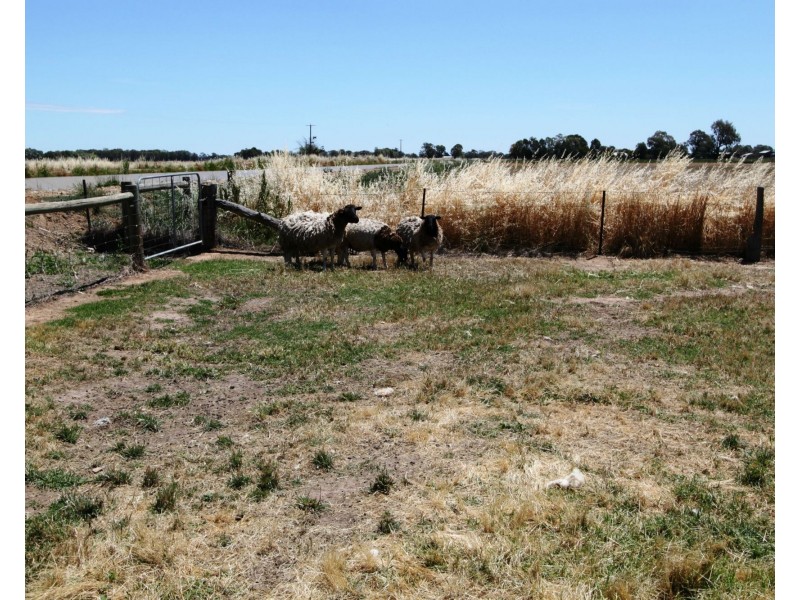 Strathmerton VIC 3641