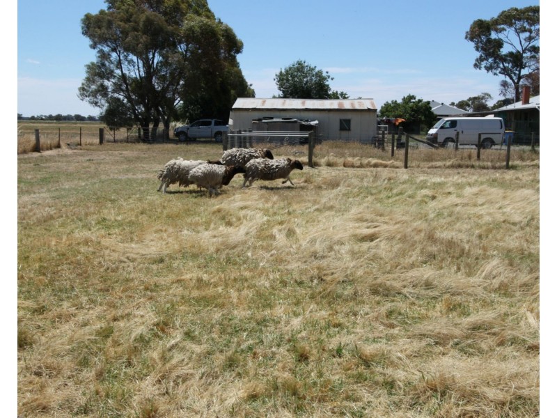 Strathmerton VIC 3641