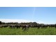 Strathmerton VIC 3641