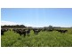 Strathmerton VIC 3641