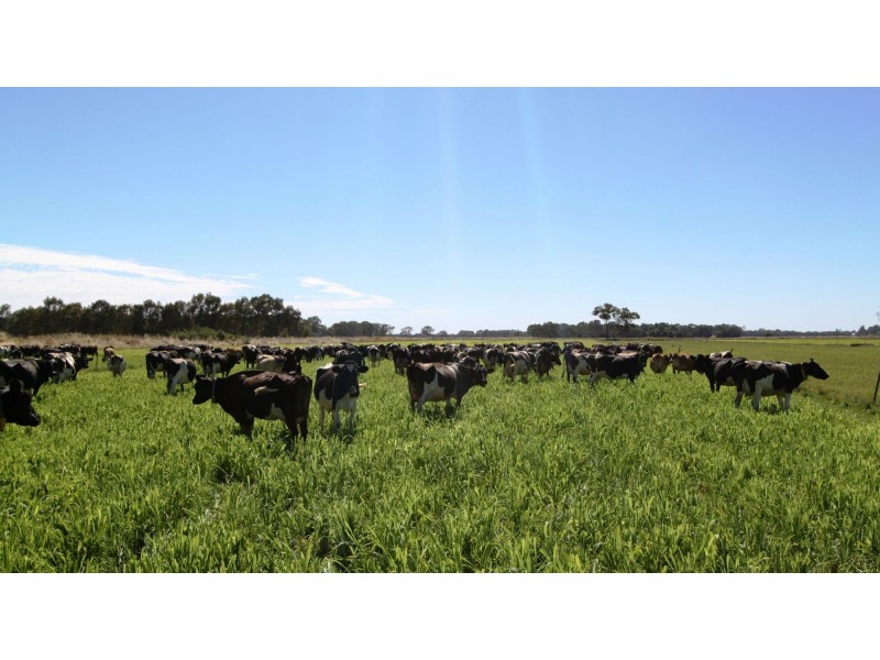 Strathmerton VIC 3641