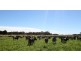 Strathmerton VIC 3641