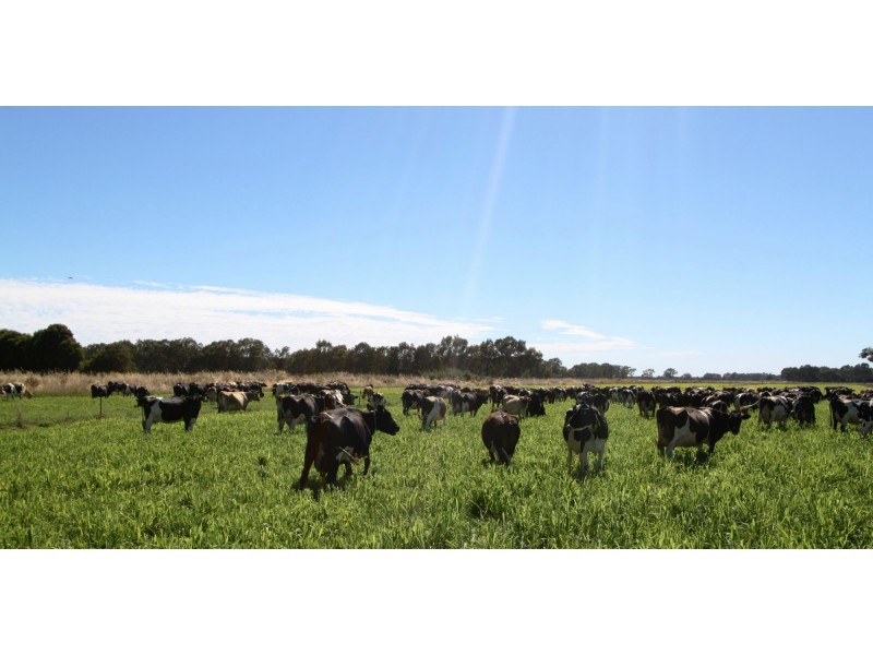 Strathmerton VIC 3641