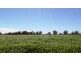 Strathmerton VIC 3641