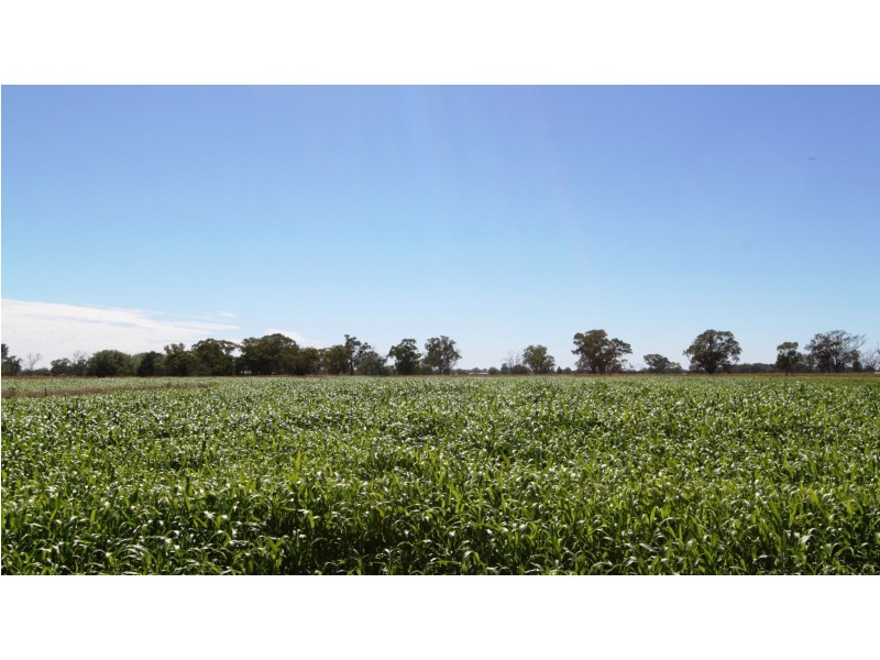 Strathmerton VIC 3641