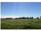 Strathmerton VIC 3641