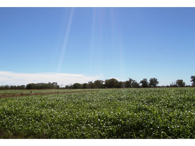 Strathmerton VIC 3641