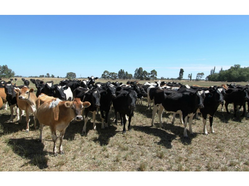 Strathmerton VIC 3641