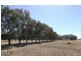 Strathmerton VIC 3641