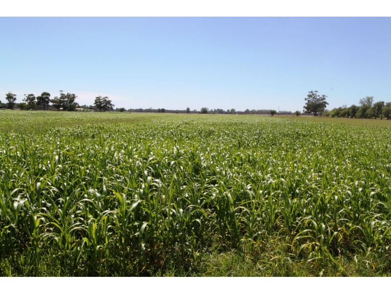 Strathmerton VIC 3641