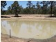 Tara QLD 4421