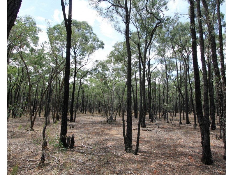 26B Lewis Road, Ladys Pass VIC 3523