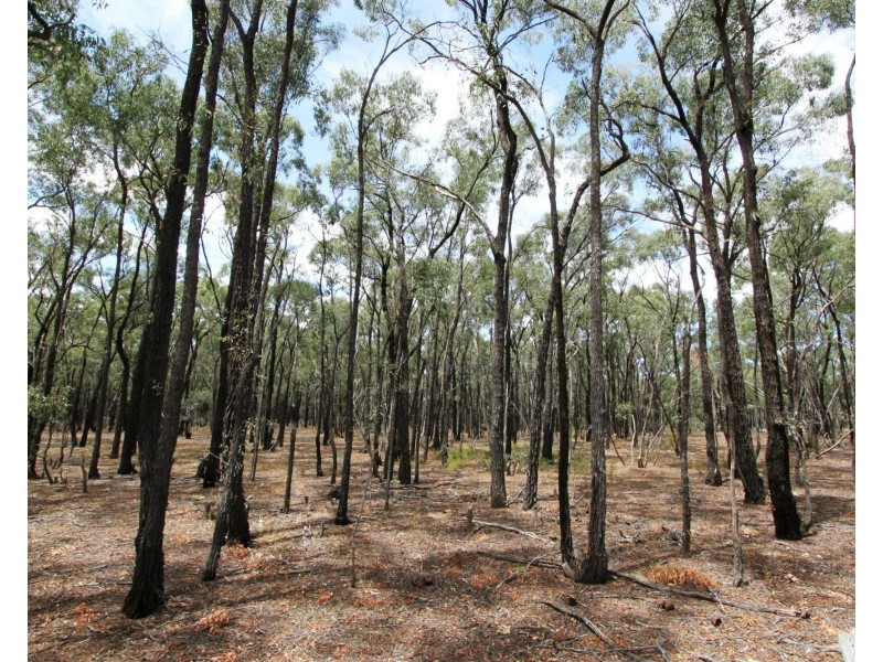 26B Lewis Road, Ladys Pass VIC 3523