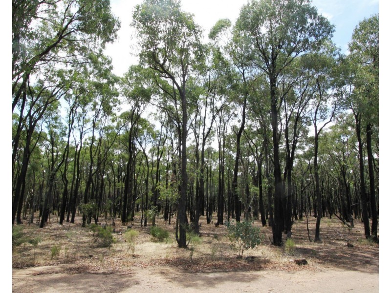 26B Lewis Road, Ladys Pass VIC 3523