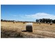 Waaia VIC 3637