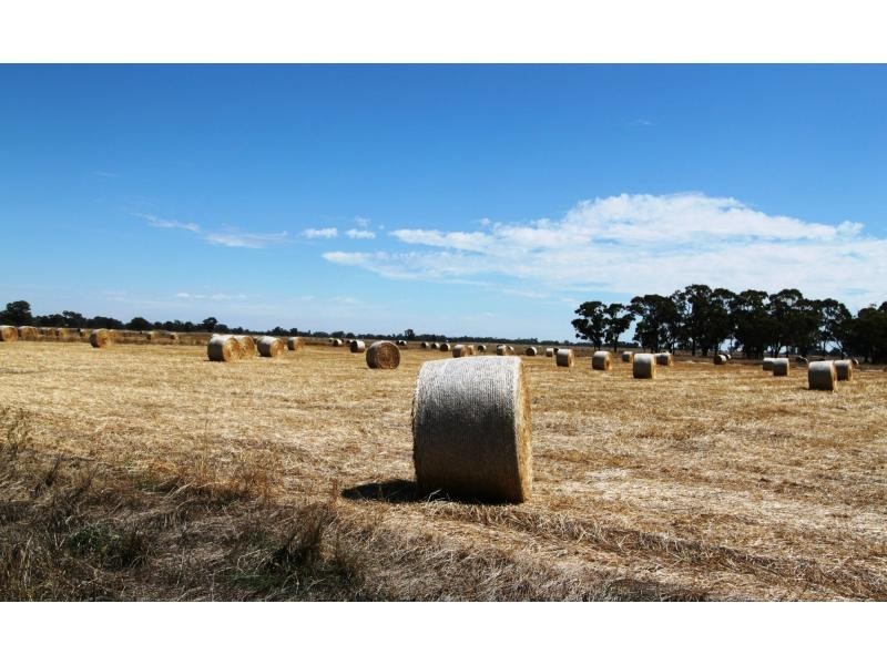 Waaia VIC 3637