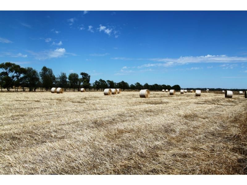 Waaia VIC 3637