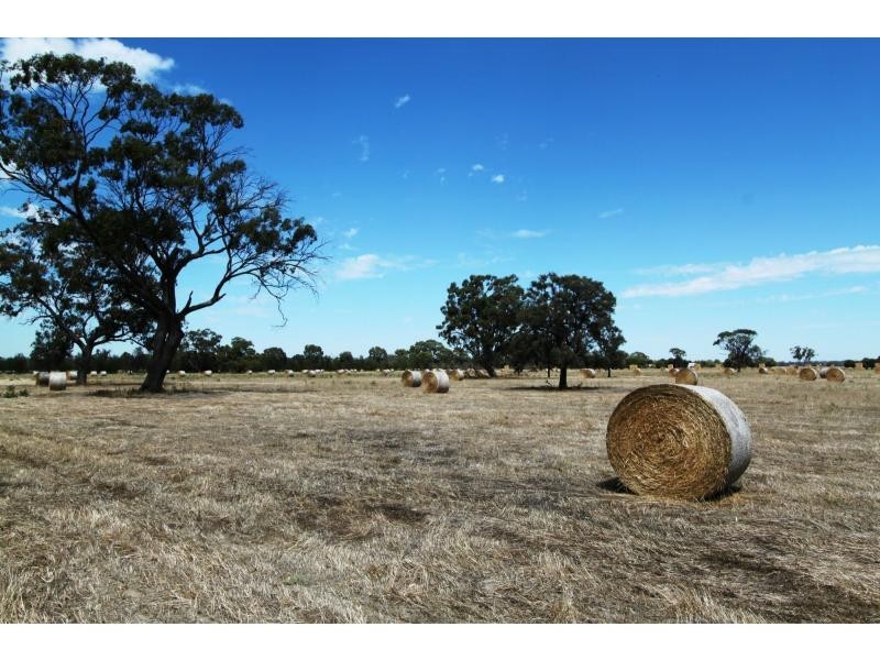 Waaia VIC 3637