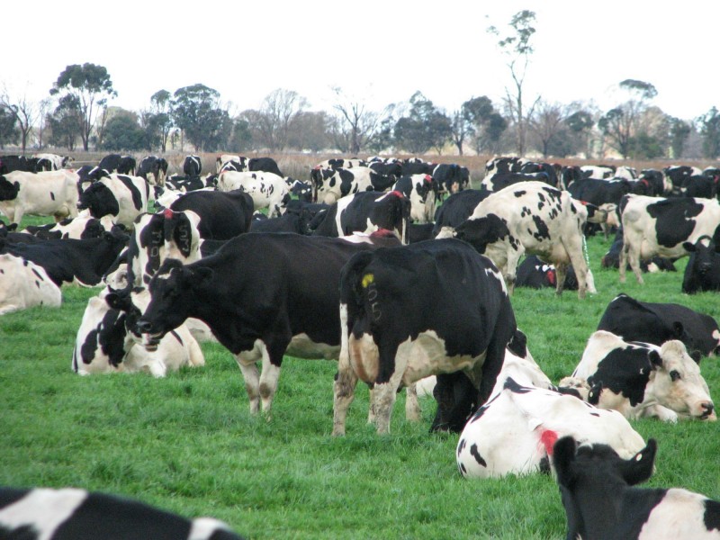 569 Macarthur Road, Yarroweyah VIC 3644