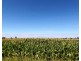 Yarroweyah VIC 3644