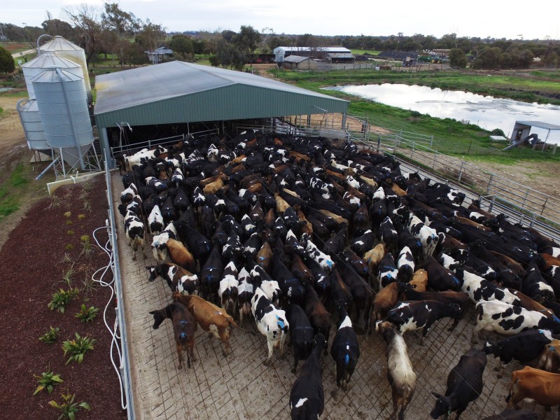 Strathmerton VIC 3641