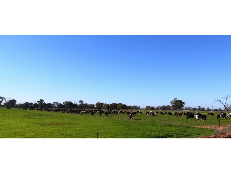 Strathmerton VIC 3641