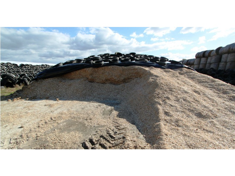 Strathmerton VIC 3641