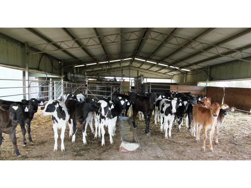 Strathmerton VIC 3641