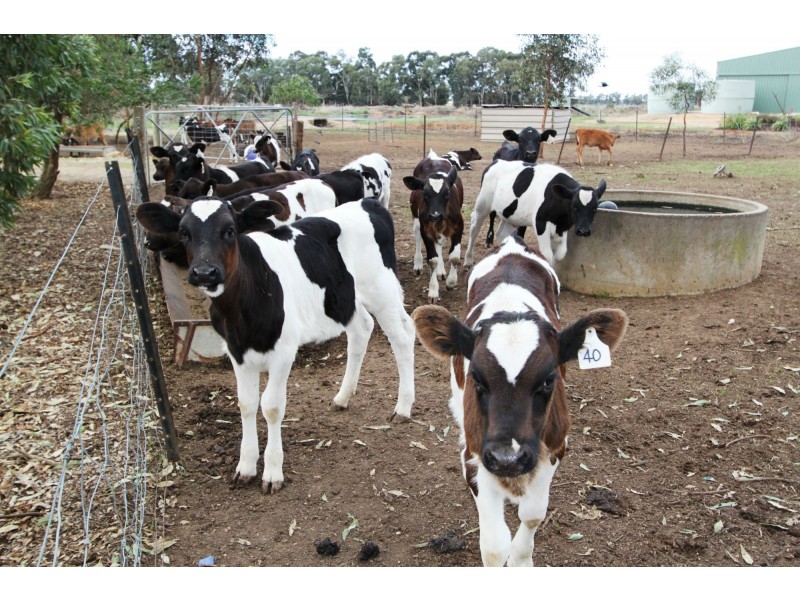 Strathmerton VIC 3641