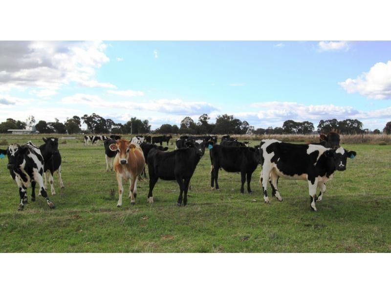 Strathmerton VIC 3641