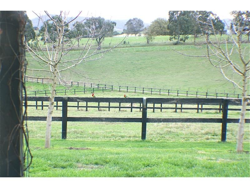 Dixons Creek VIC 3775