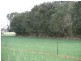 Finley NSW 2713
